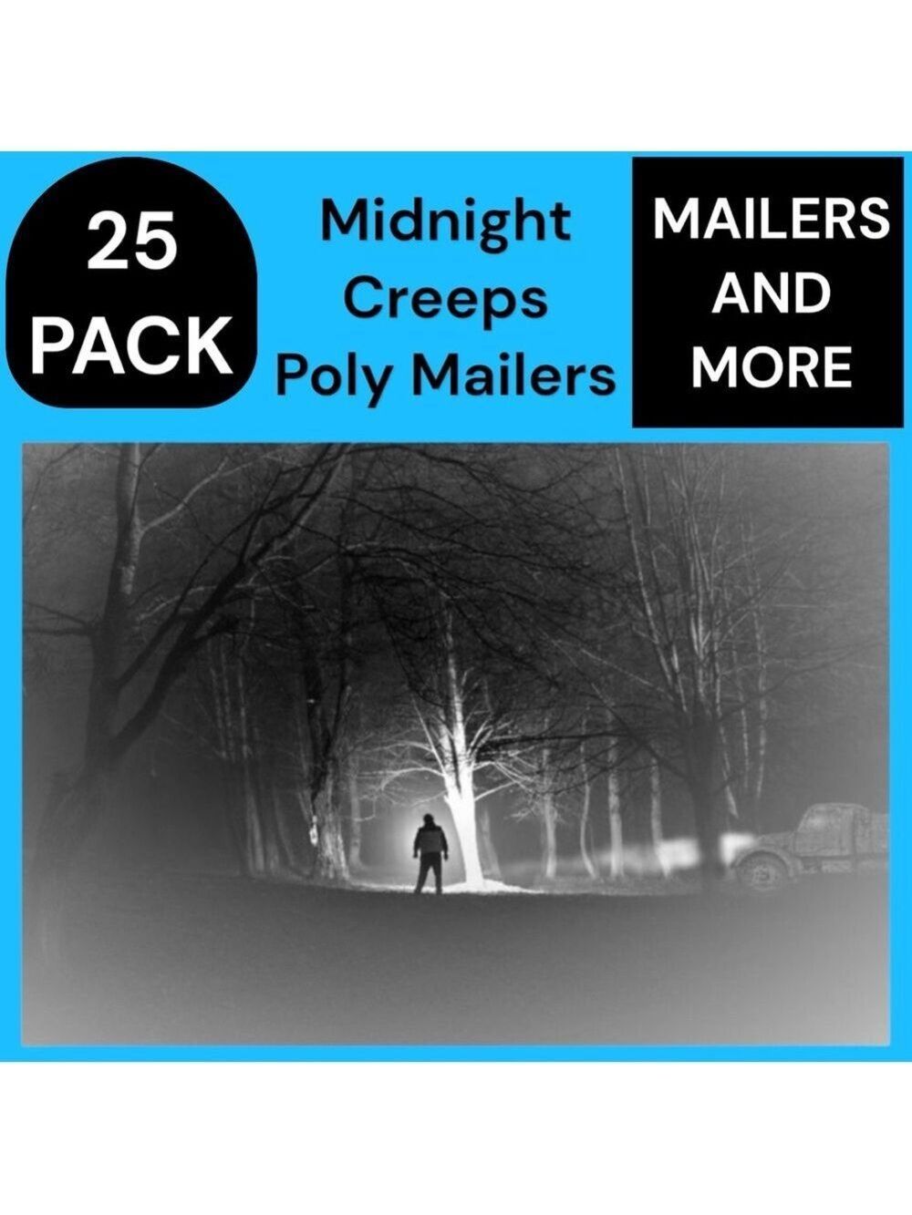 25 10X13 Midnight Creeps Poly Mailers PRICE FIRM Fall - Picture 7 of 15